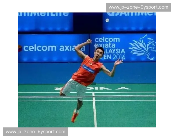 分析羽毛球：从球羽到战术的全方位解读